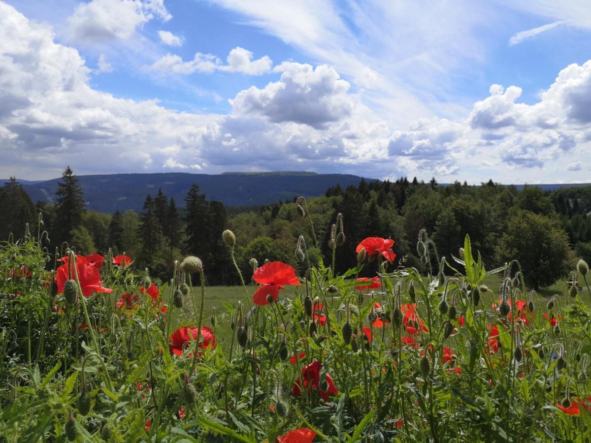 Hotel Schoene Aussicht Masserberg Dış mekan fotoğraf