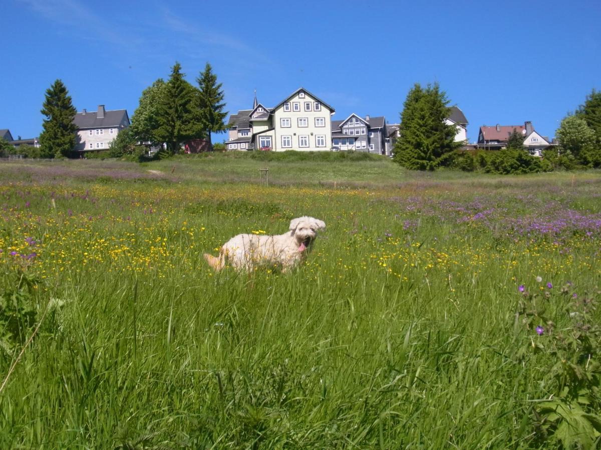 Hotel Schoene Aussicht Masserberg Dış mekan fotoğraf