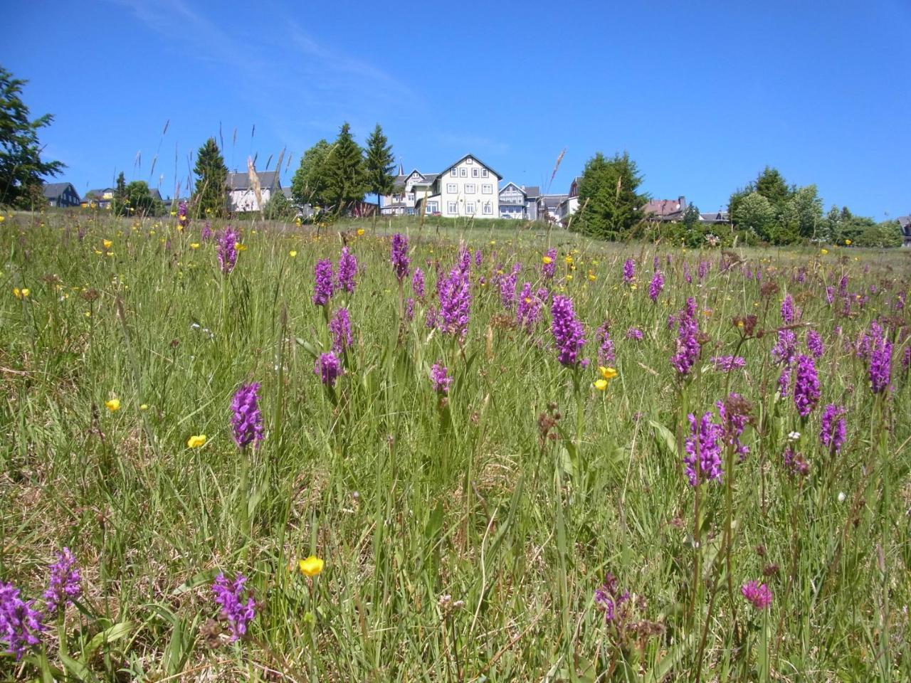 Hotel Schoene Aussicht Masserberg Dış mekan fotoğraf